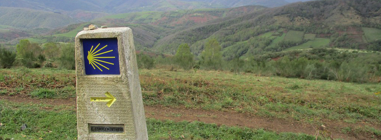 The Camino of Santiago